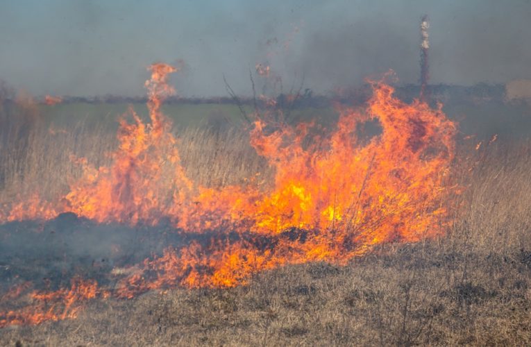 Пожароопасный период на Днепропетровщине продлили до 4 сентября Источник: