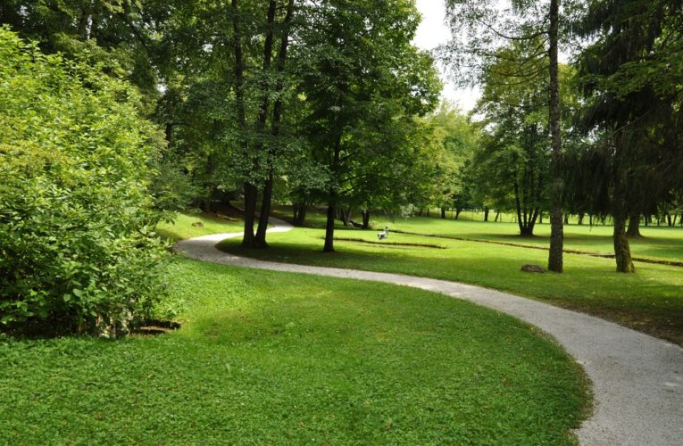 Борис Филатов рассказал, почему невозможно «сделать сразу» все городские парки