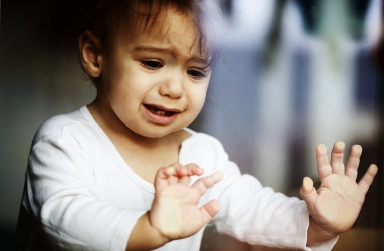 На Днепропетровщине 6-летний мальчик сбежал из дома, испугавшись маминого сожителя