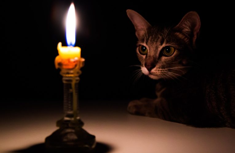 С понедельника в Днепре масштабные отключения света