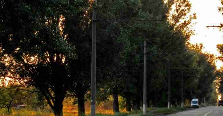 На участке Днепропетровщины избиратели не смогли проголосовать за кандидатов в сельсовет