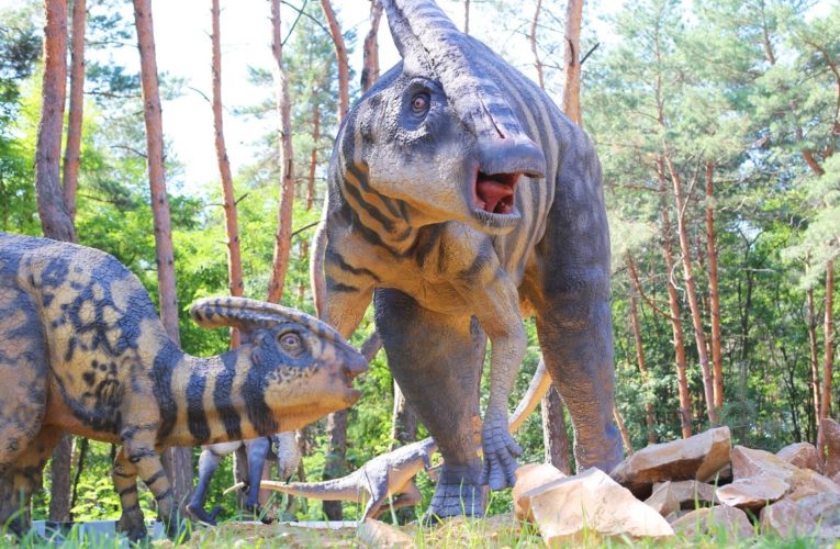 В Днепре мошенница продавала детям бесплатные билеты в DИНО-парк