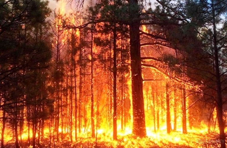 Герои-спасатели из Днепра отправились в самое пекло пожаров на Луганщине
