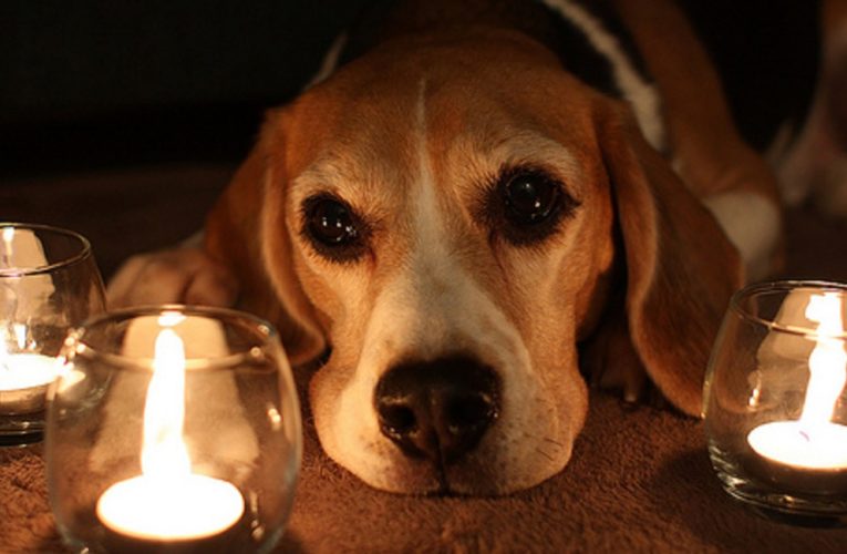 В пятницу в семи районах Днепра могут отключить свет