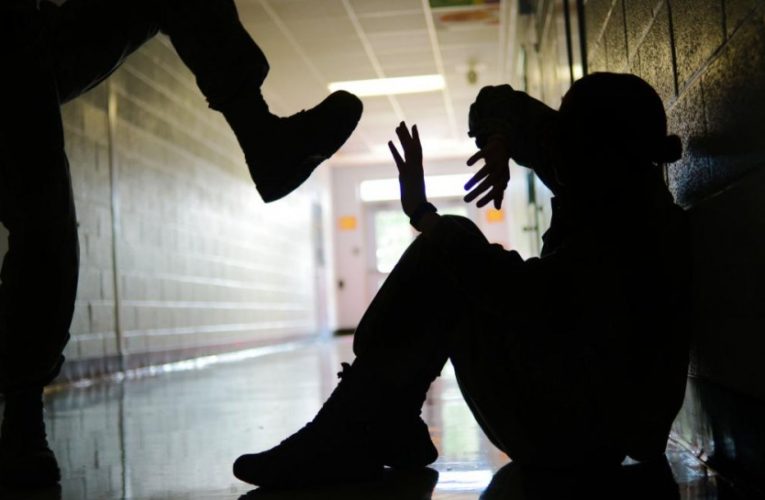 В Днепре в элитной школе устроили травлю ученицы и ее родителей