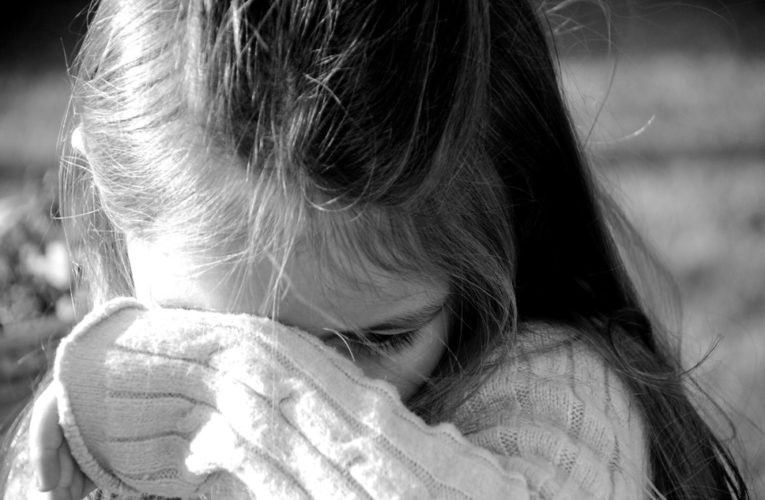 Нужна помощь: в Днепре во дворе школы на 10-летнюю девочку упала плита забора
