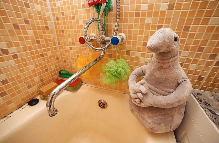 Во вторник на нескольких улицах в двух районах Днепра на день отключат воду