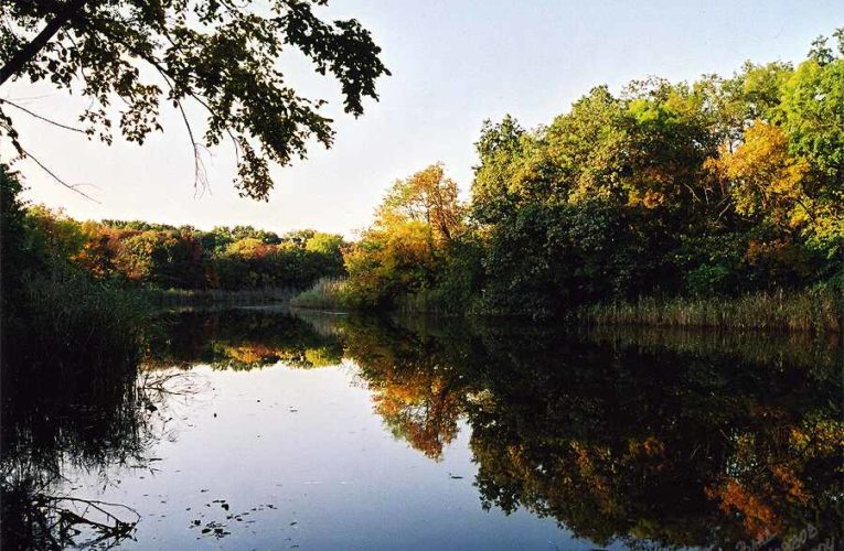 Подводная труба отравляет реку Самару близ Днепра