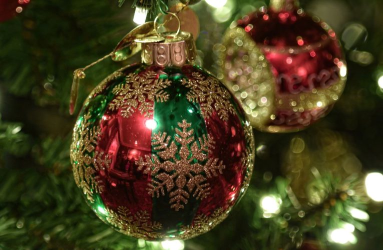 В центре Днепра начали устанавливать ёлку