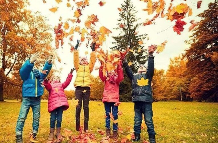 Осенние каникулы: как будут отдыхать школьники в Днепре